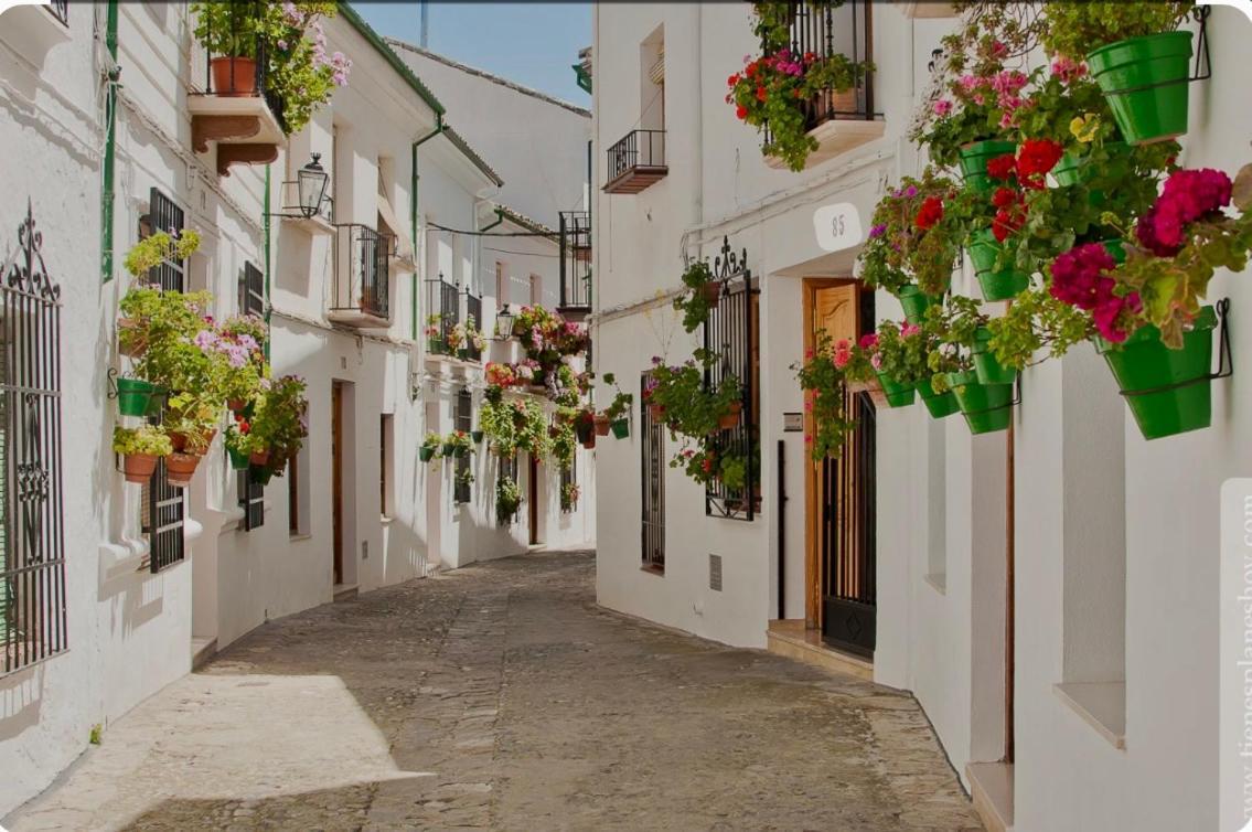 Apartamento E&D Nerja Dış mekan fotoğraf